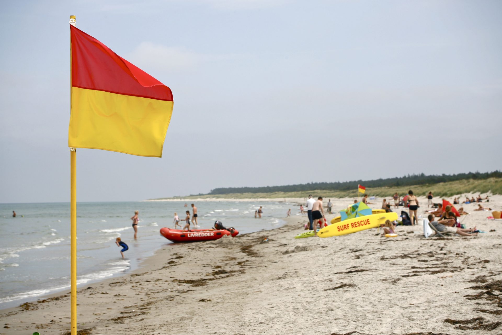 Kender du egentlig badeflagene?