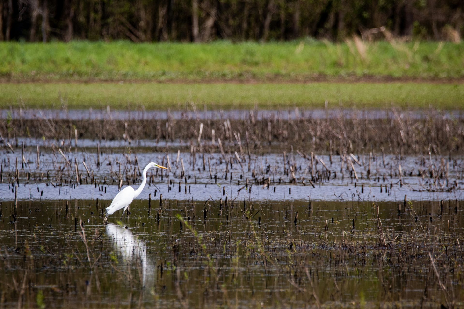 Aabenraa giver sig i stort juridisk slagsmål